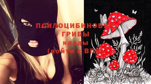 ECSTASY Балабаново